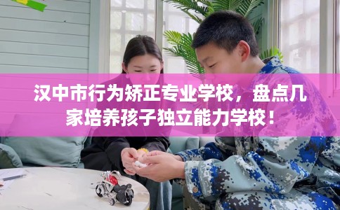 汉中市行为矫正专业学校,盘点几家培养孩子独立能力学校! 汉中市行为矫正专业学校,盘点几家培养孩子独立能力学校!