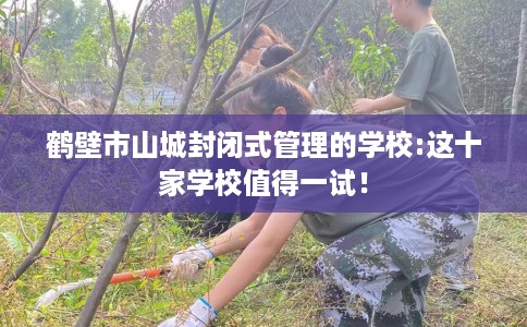 鹤壁市山城封闭式管理的学校:这十家学校值得一试！