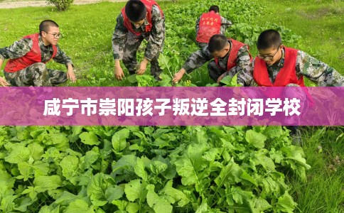 咸宁市崇阳孩子叛逆全封闭学校 咸宁市崇阳孩子叛逆全封闭学校