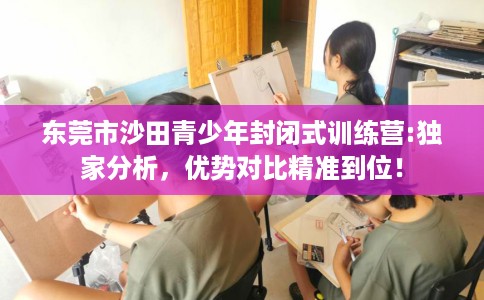 东莞市沙田青少年封闭式训练营:独家分析，优势对比精准到位！