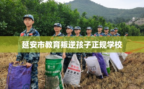 延安市教育叛逆孩子正规学校