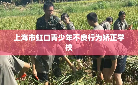 上海市虹口青少年不良行为矫正学校 上海市虹口青少年不良行为矫正学校