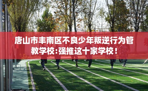 唐山市丰南区不良少年叛逆行为管教学校:强推这十家学校! 唐山市丰南区不良少年叛逆行为管教学校:强推这十家学校!