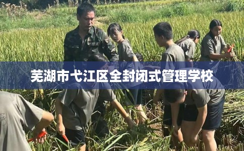 芜湖市弋江区全封闭式管理学校