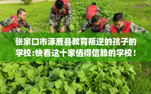 张家口市涿鹿县教育叛逆的孩子的学校:快看这十家值得信赖的学校！