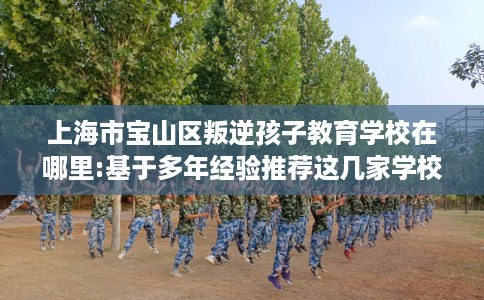 上海市宝山区叛逆孩子教育学校在哪里:基于多年经验推荐这几家学校！