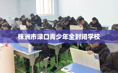 株洲市渌口青少年全封闭学校