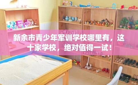 新余市青少年军训学校哪里有，这十家学校，绝对值得一试！