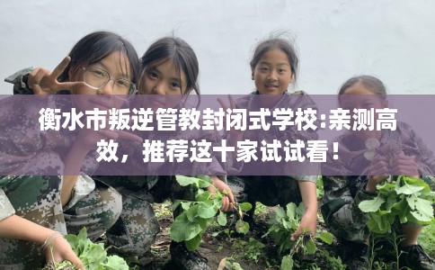 衡水市叛逆管教封闭式学校:亲测高效，推荐这十家试试看！