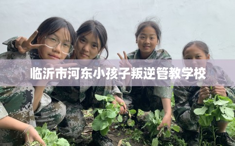 临沂市河东小孩子叛逆管教学校 临沂市河东小孩子叛逆管教学校