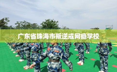 广东省珠海市叛逆戒网瘾学校