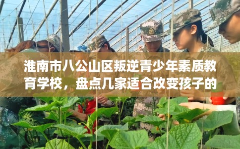 淮南市八公山区叛逆青少年素质教育学校,盘点几家适合改变孩子的学校! 淮南市八公山区叛逆青少年素质教育学校,盘点几家适合改变孩子的学校!