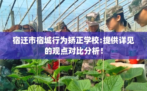 宿迁市宿城行为矫正学校:提供详见的观点对比分析！