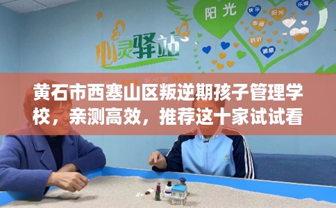 黄石市西塞山区叛逆期孩子管理学校，亲测高效，推荐这十家试试看！