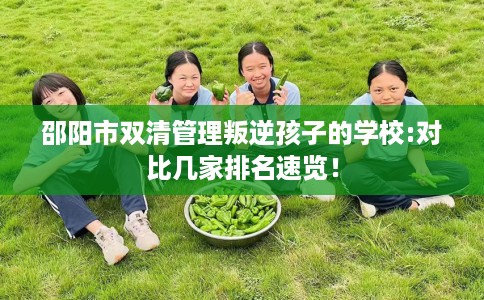 邵阳市双清管理叛逆孩子的学校:对比几家排名速览！