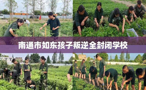 南通市如东孩子叛逆全封闭学校
