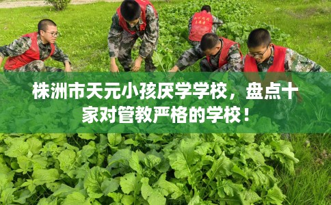 株洲市天元小孩厌学学校，盘点十家对管教严格的学校！