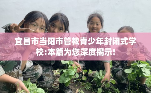 宜昌市当阳市管教青少年封闭式学校:本篇为您深度揭示!