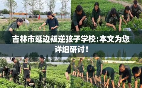 吉林市延边叛逆孩子学校:本文为您详细研讨！