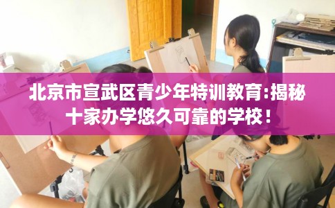 北京市宣武区青少年特训教育:揭秘十家办学悠久可靠的学校！