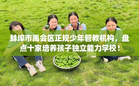 蚌埠市禹会区正规少年管教机构，盘点十家培养孩子独立能力学校！