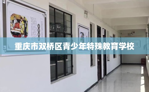 重庆市双桥区青少年特殊教育学校