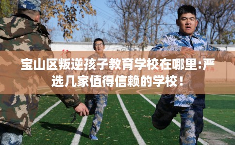 宝山区叛逆孩子教育学校在哪里:严选几家值得信赖的学校！