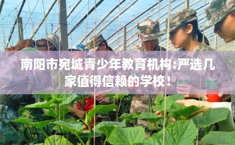 南阳市宛城青少年教育机构:严选几家值得信赖的学校！