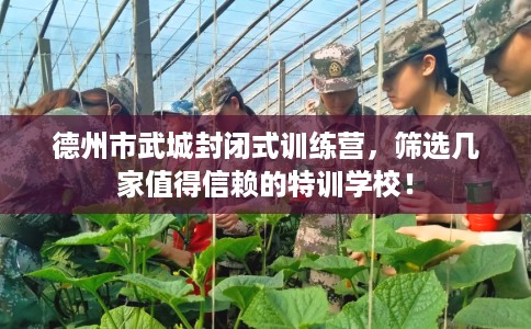 德州市武城封闭式训练营，筛选几家值得信赖的特训学校！