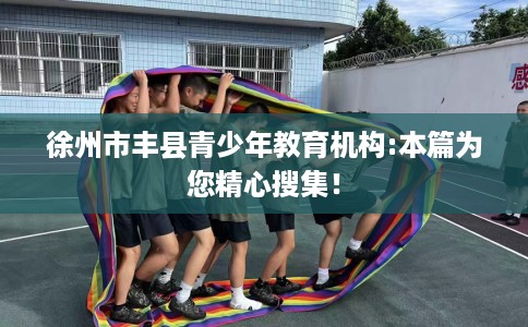 徐州市丰县青少年教育机构:本篇为您精心搜集！