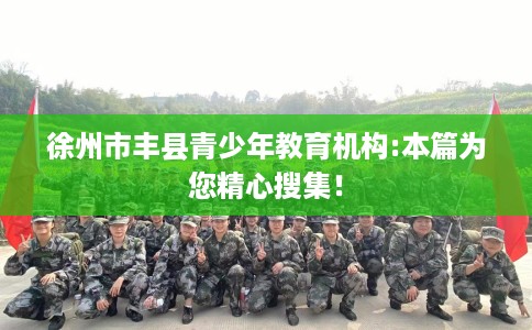 徐州市丰县青少年教育机构:本篇为您精心搜集！