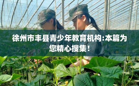 徐州市丰县青少年教育机构:本篇为您精心搜集！