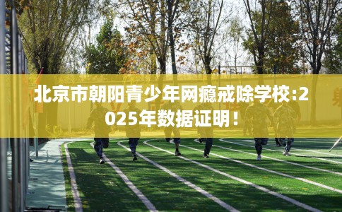 北京市朝阳青少年网瘾戒除学校:2025年数据证明！