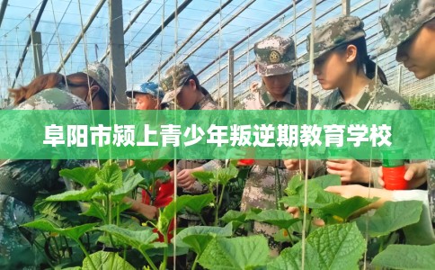 阜阳市颍上青少年叛逆期教育学校 阜阳市颍上青少年叛逆期教育学校