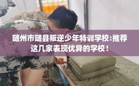 随州市随县叛逆少年特训学校:推荐这几家表现优异的学校！