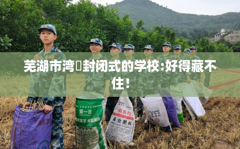 芜湖市湾沚封闭式的学校:好得藏不住！