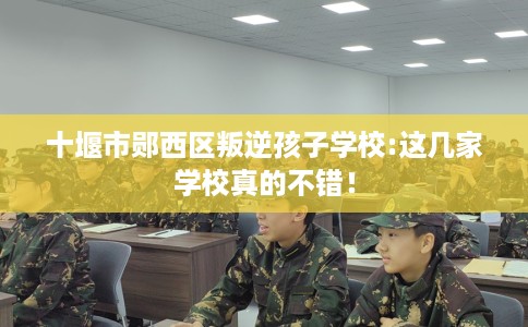 十堰市郧西区叛逆孩子学校:这几家学校真的不错! 十堰市郧西区叛逆孩子学校:这几家学校真的不错!