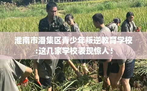 淮南市潘集区青少年叛逆教育学校:这几家学校表现惊人! 淮南市潘集区青少年叛逆教育学校:这几家学校表现惊人!