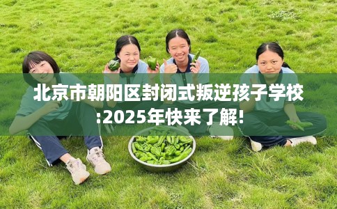 北京市朝阳区封闭式叛逆孩子学校:2025年快来了解! 北京市朝阳区封闭式叛逆孩子学校:2025年快来了解!