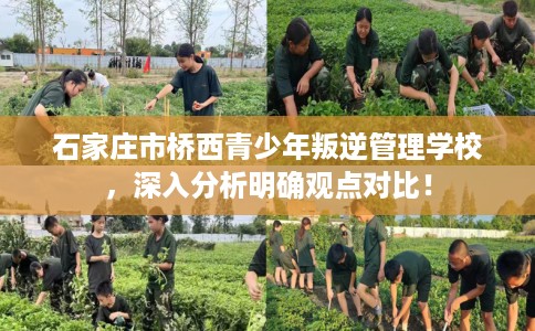 石家庄市桥西青少年叛逆管理学校，深入分析明确观点对比！