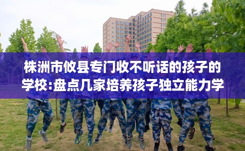 株洲市攸县专门收不听话的孩子的学校:盘点几家培养孩子独立能力学校! 株洲市攸县专门收不听话的孩子的学校:盘点几家培养孩子独立能力学校!