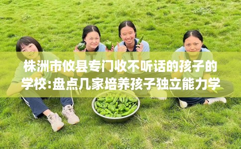 株洲市攸县专门收不听话的孩子的学校:盘点几家培养孩子独立能力学校! 株洲市攸县专门收不听话的孩子的学校:盘点几家培养孩子独立能力学校!