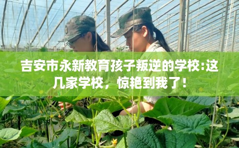 吉安市永新教育孩子叛逆的学校:这几家学校,惊艳到我了! 吉安市永新教育孩子叛逆的学校:这几家学校,惊艳到我了!