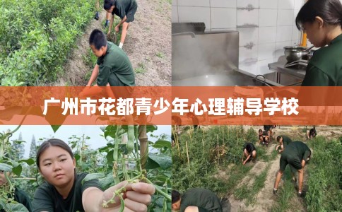 广州市花都青少年心理辅导学校 广州市花都青少年心理辅导学校