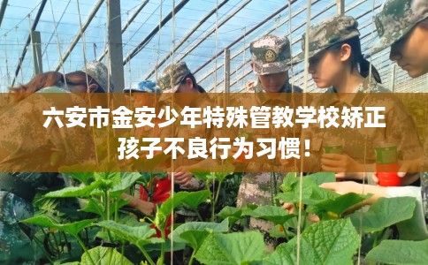六安市金安少年特殊管教学校矫正孩子不良行为习惯! 六安市金安少年特殊管教学校矫正孩子不良行为习惯!