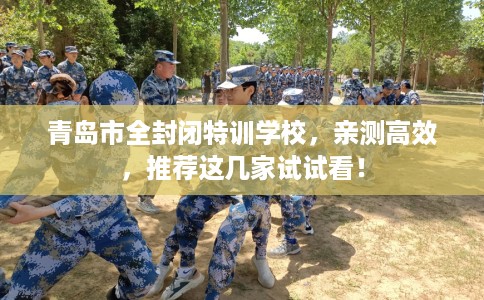 青岛市全封闭特训学校，亲测高效，推荐这几家试试看！