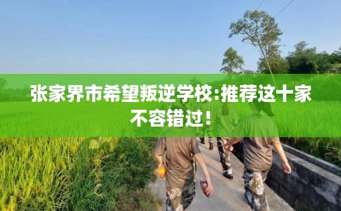 张家界市希望叛逆学校:推荐这十家不容错过! 张家界市希望叛逆学校:推荐这十家不容错过!