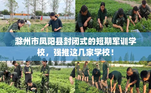 滁州市凤阳县封闭式的短期军训学校,强推这几家学校! 滁州市凤阳县封闭式的短期军训学校,强推这几家学校!