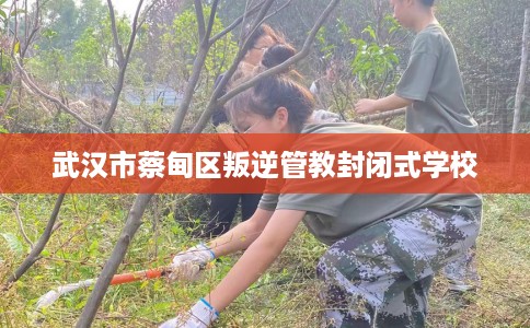 武汉市蔡甸区叛逆管教封闭式学校