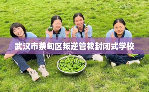 武汉市蔡甸区叛逆管教封闭式学校